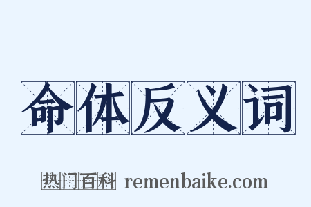 命体反义词是什么意思的图片